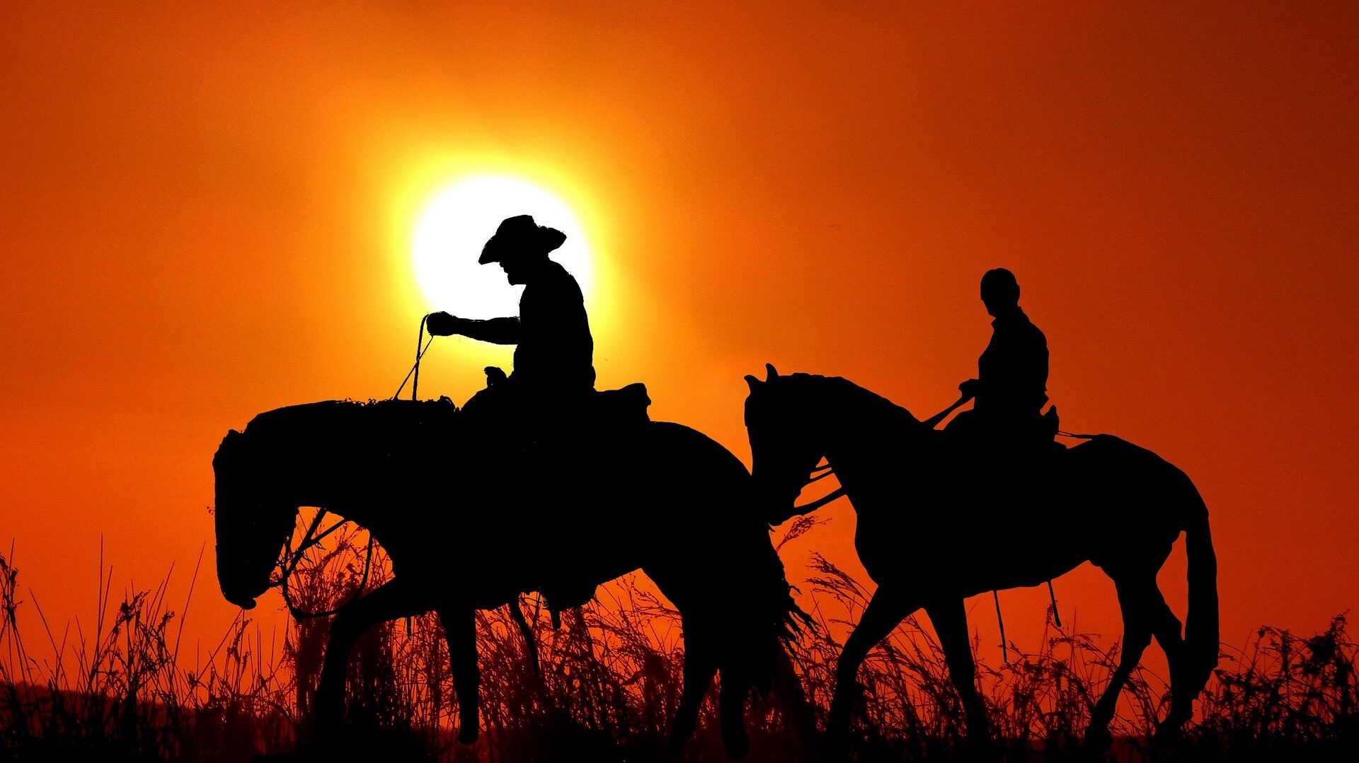 Activites Western entreprise