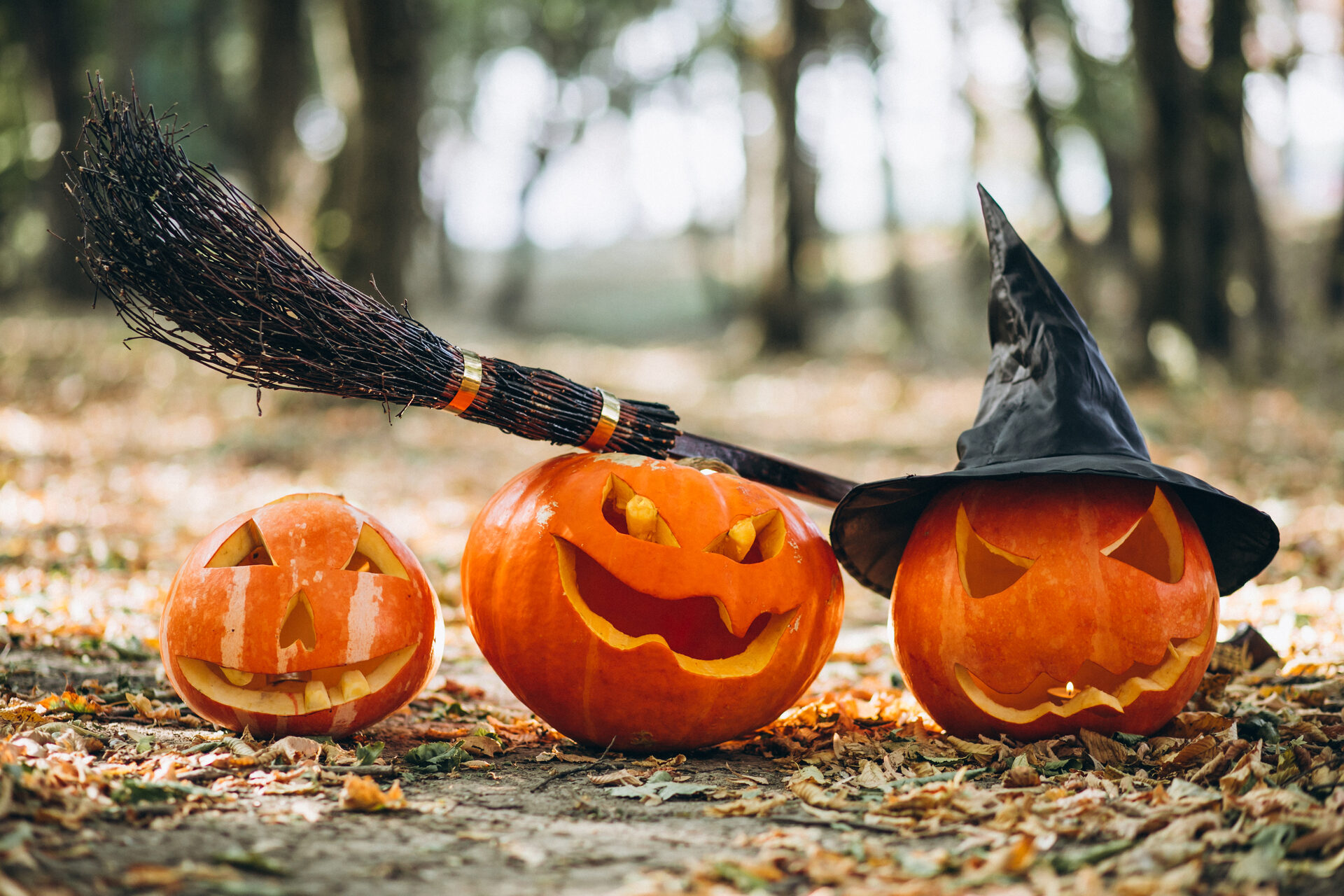 Soiree Halloween team building