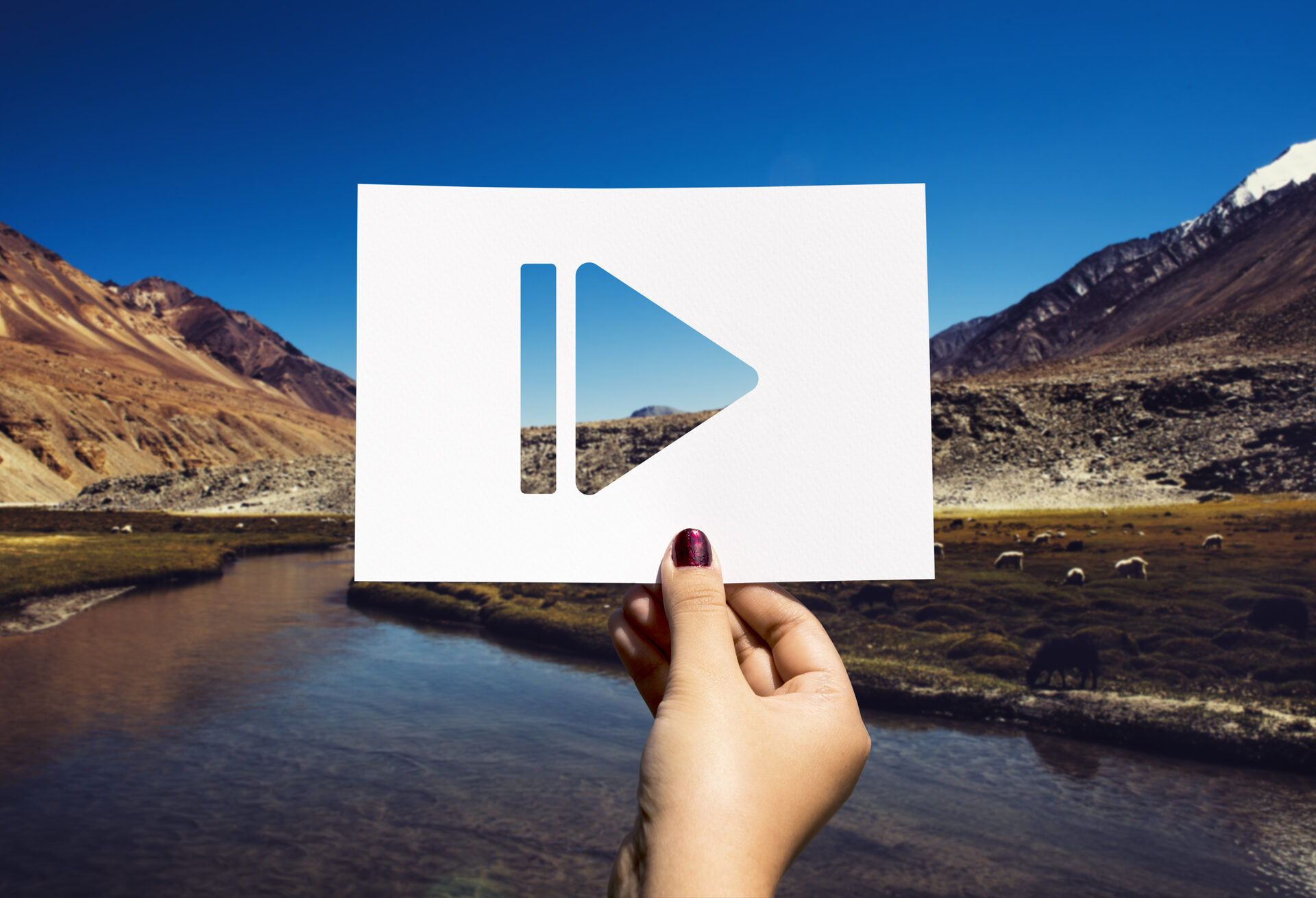 Videos Creatives