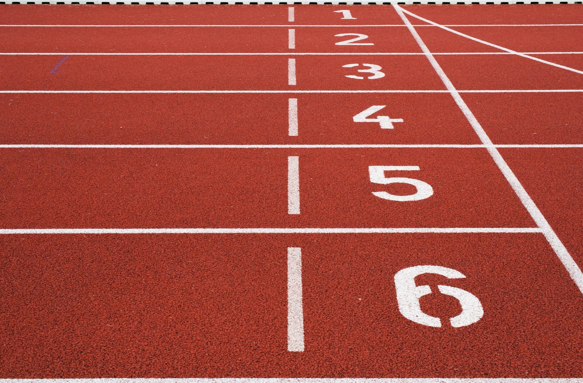 Animation sportive entreprise